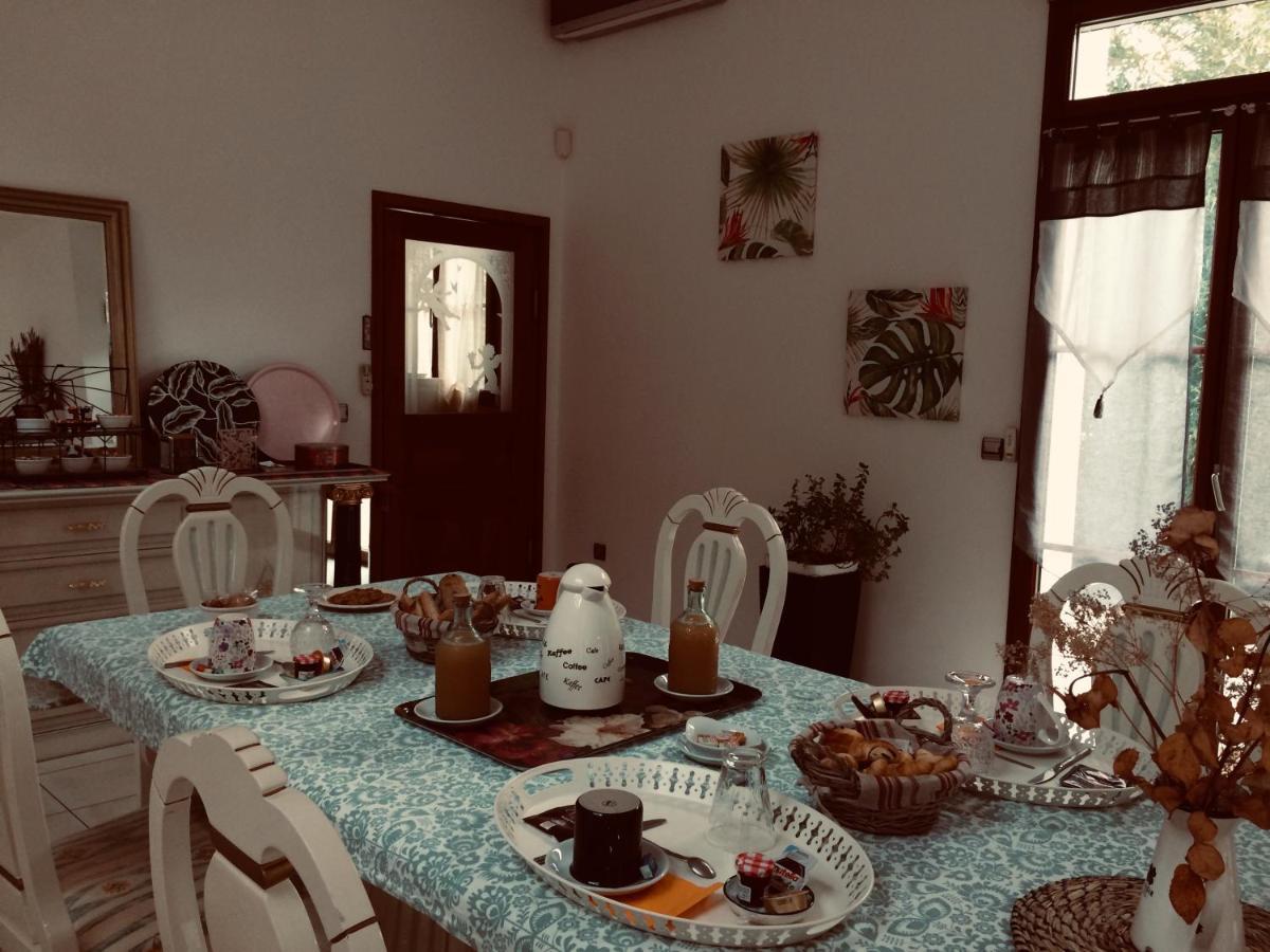 سان سير سور لوار La Villa Bolero المظهر الخارجي الصورة